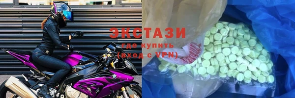 индика Зеленодольск