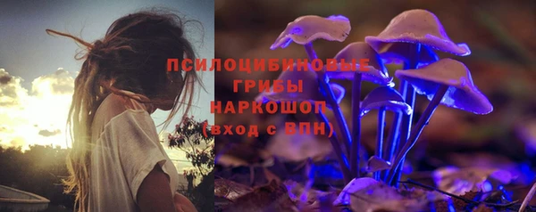 СК Алексин