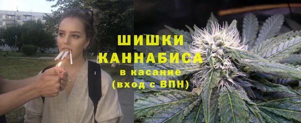 ПСИЛОЦИБИНОВЫЕ ГРИБЫ Аркадак